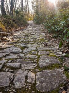 Il selciato dell'antica via romana di Monte Pilli